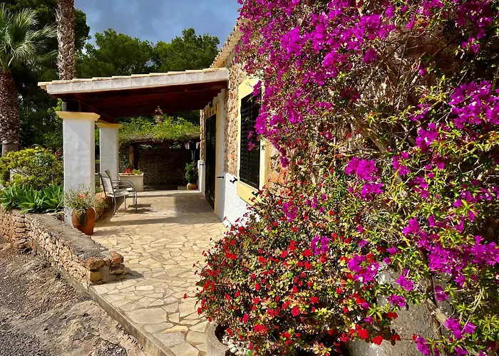Apartamentos Pinosol